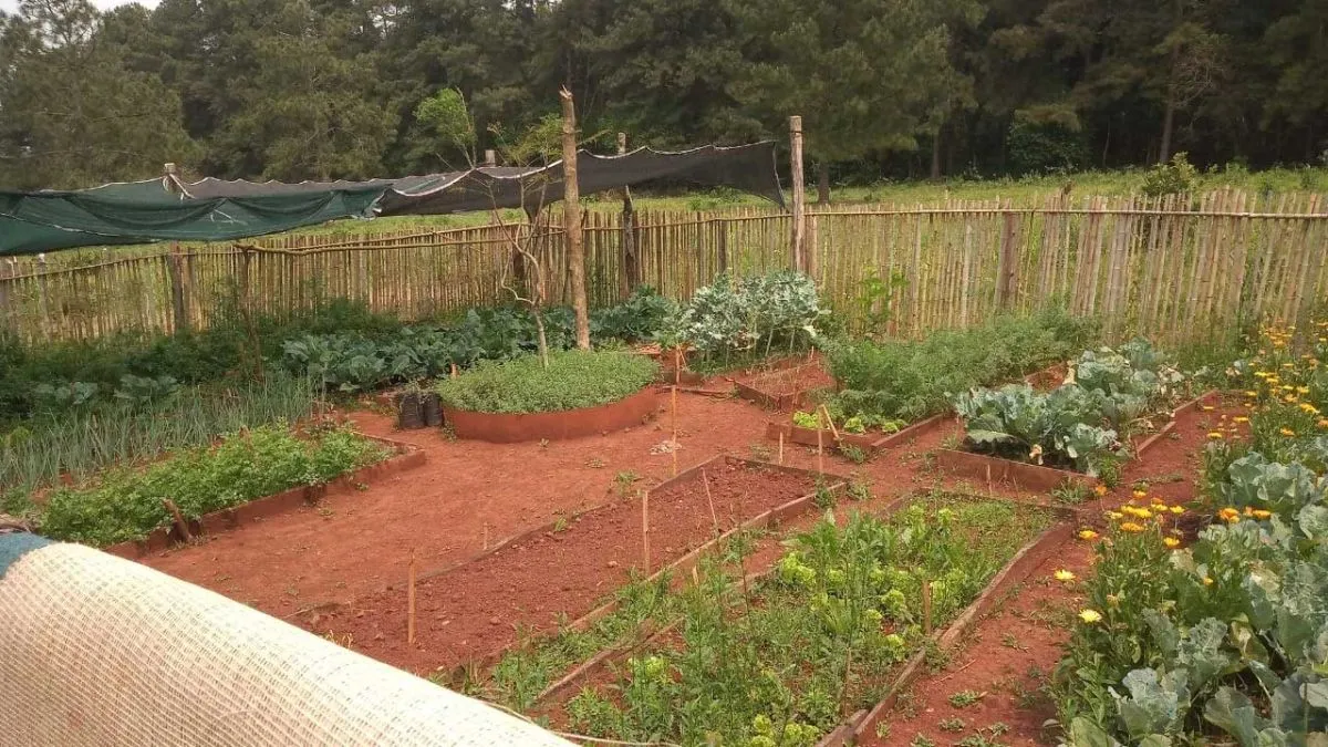 Agricultura Familiar