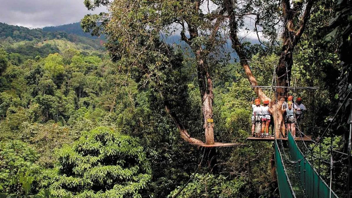 Costa Rica. Monteverde