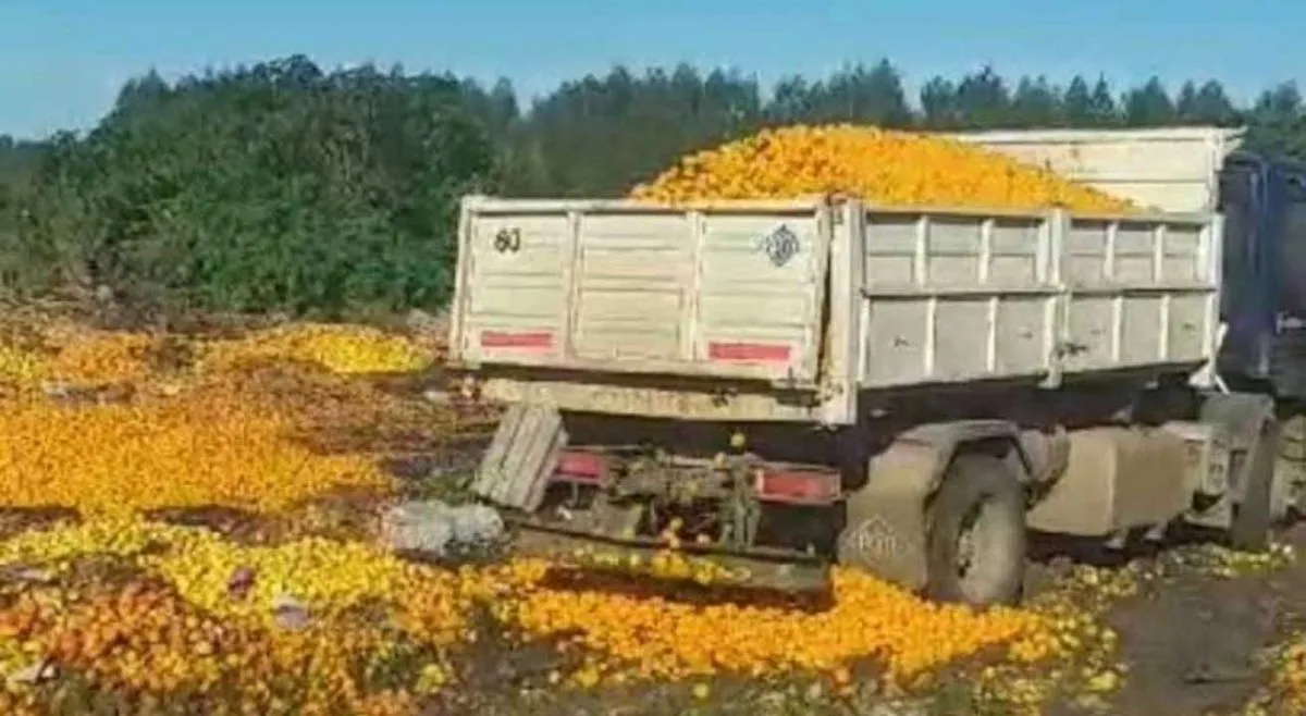 Mandarinas y naranjas