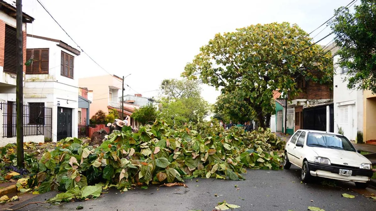 Un feroz temporal causó daños en viviendas, cultivos y tendido eléctrico