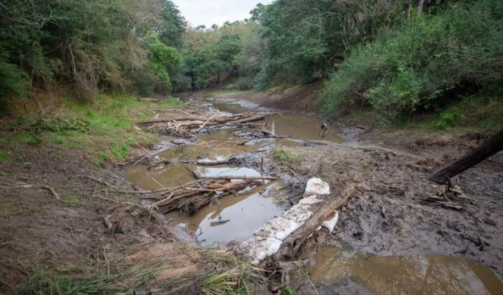 Caso Cecilia: hallaron más huesos quemados en un nuevo rastrillaje en el Río Tragadero