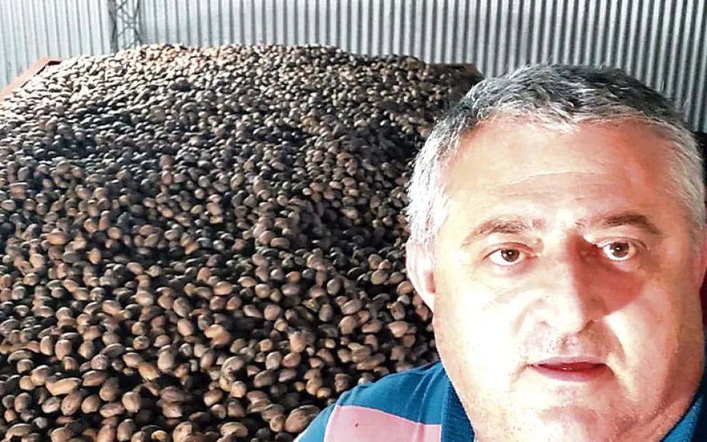 De la producción de café a la exportación de nuez pecán