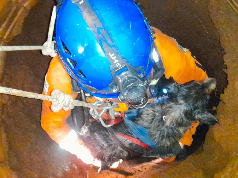 Bomberos salvaron a un perro que cayó en un pozo de 13 metros de profundidad