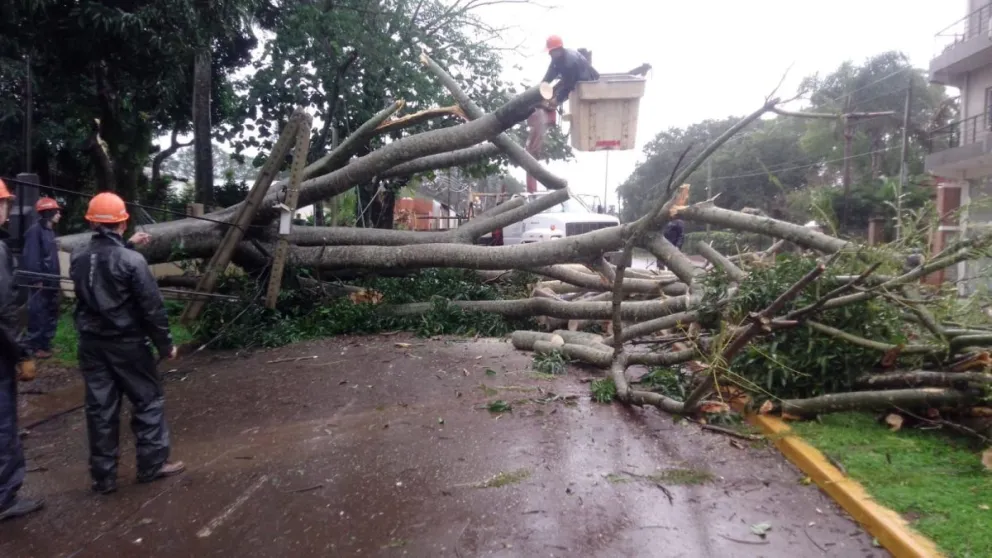 Voladura de techos, caída de árboles y daño en el tendido eléctrico por la tormenta en Oberá
