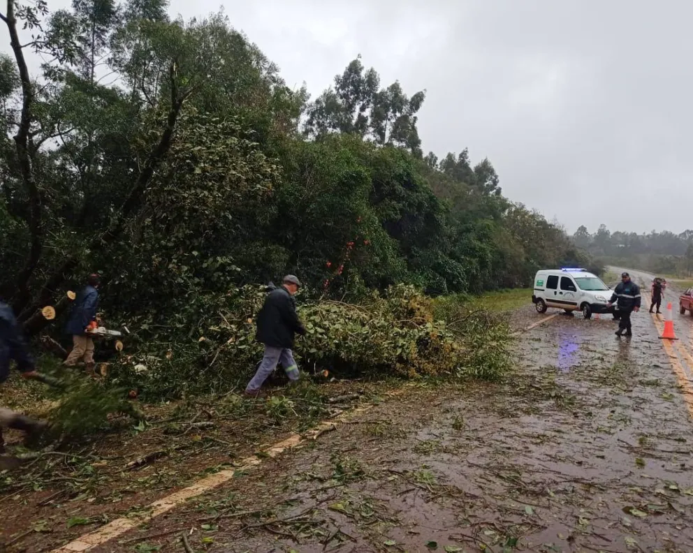 La tormenta causó serios daños en Caá Yarí y San Vicente 