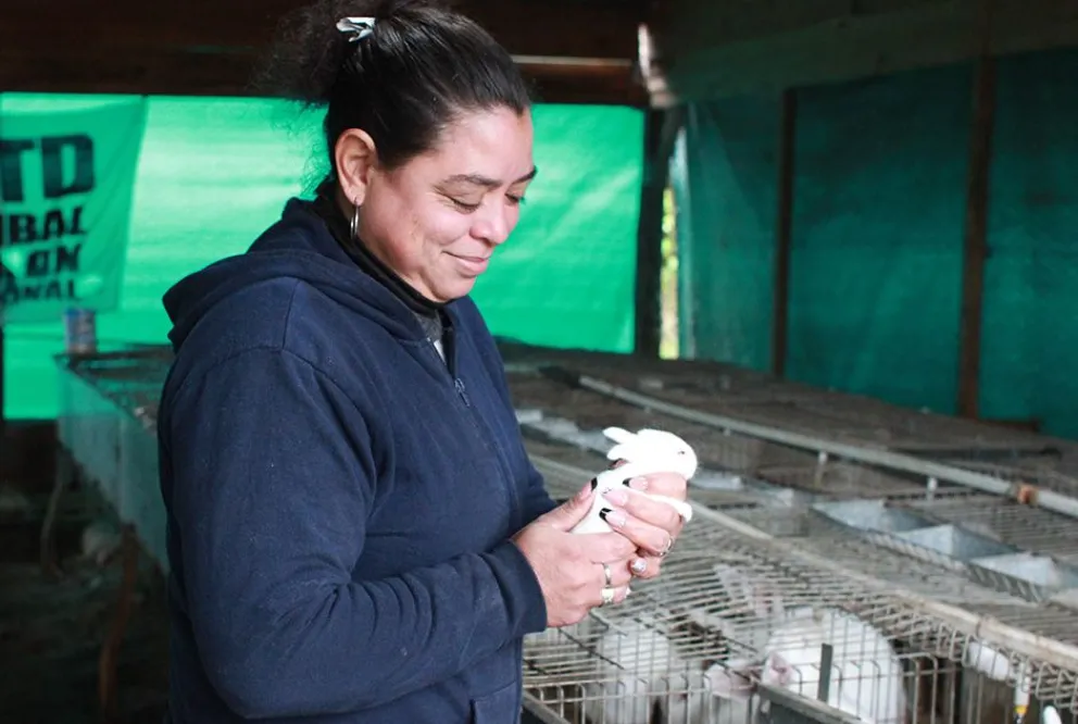 Cría de conejos, opción económica comunitaria