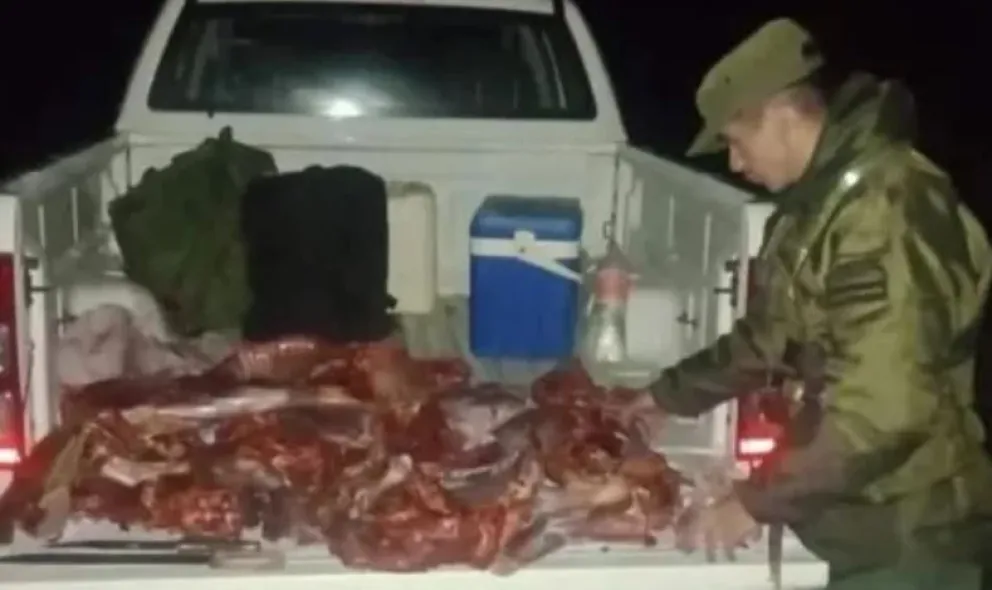 Corrientes: incautan 260 kilos de carne de animales cazados