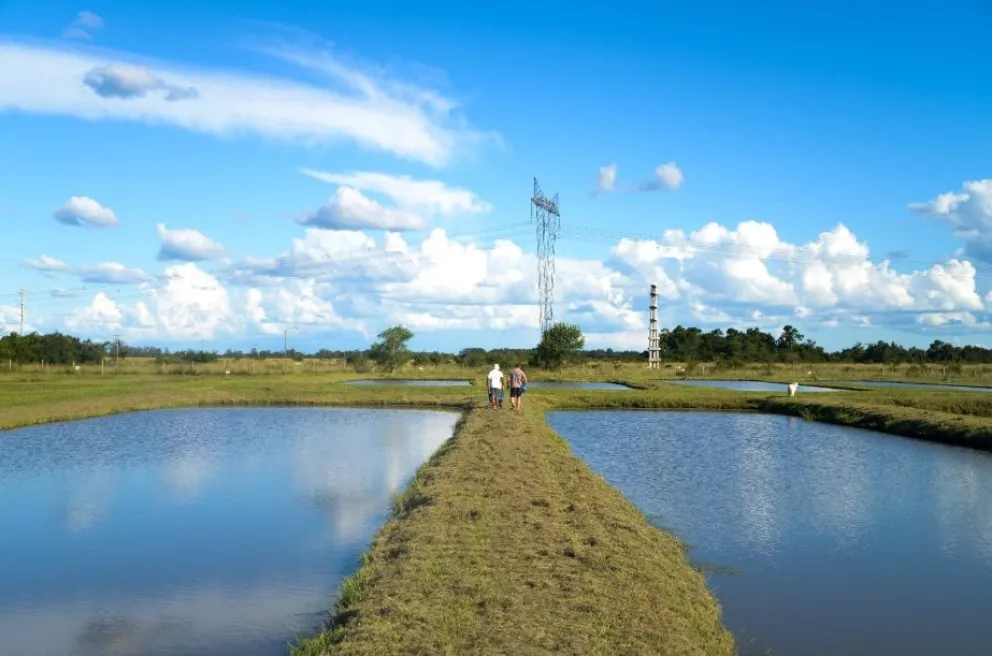 El Conicet y Agricultura impulsan el desarrollo de la acuicultura en Misiones
