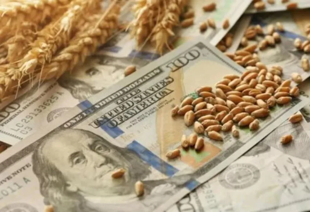 Dólar agro: el gobierno prepara una actualización para sumar más reservas