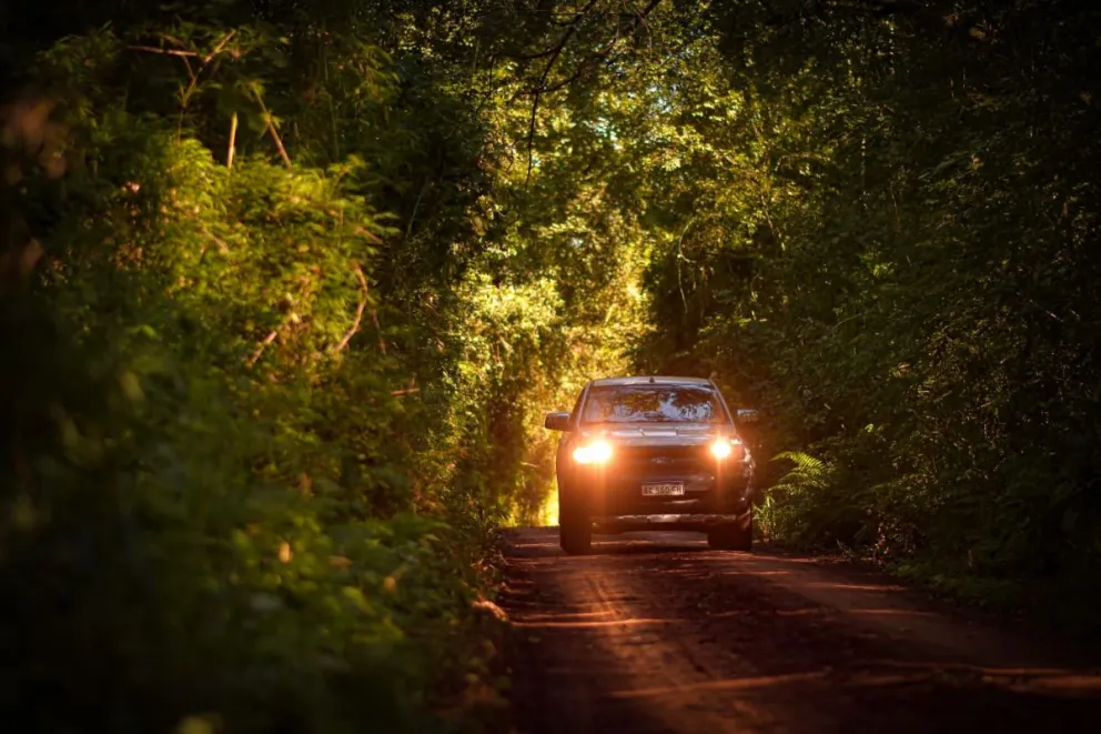 Travesía de 4x2 y 4x4 por la selva del Parque Nacional Iguazú y Andresito 