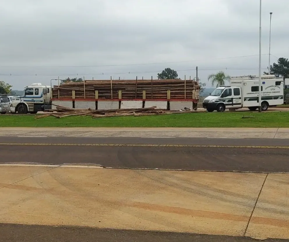Incautaron marihuana en una carga de eucaliptos en El Arco de la ruta nacional 12