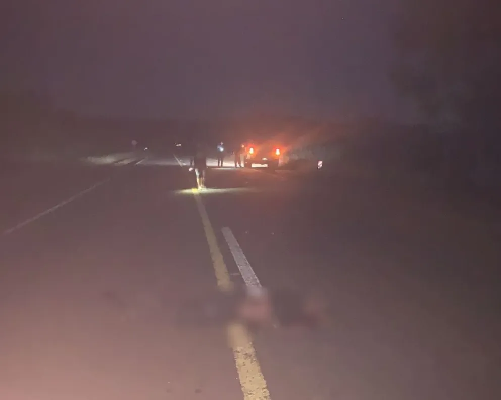 San Pedro: un peatón murió en la Ruta 14 al ser atropellado por una ...