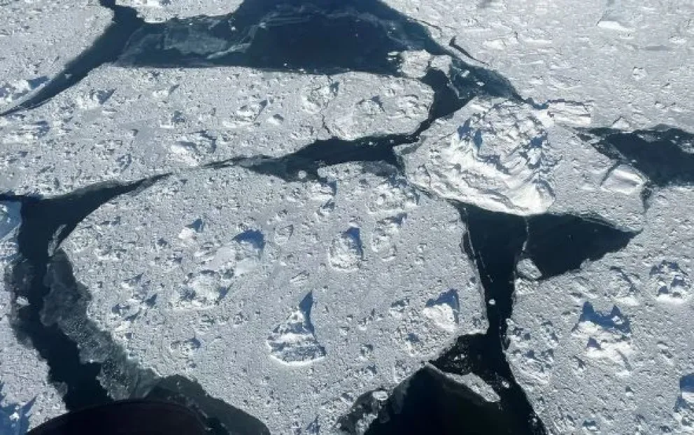 Por el calentamiento del océano, el glaciar flotante más grande de Groenlandia se redujo un 42%