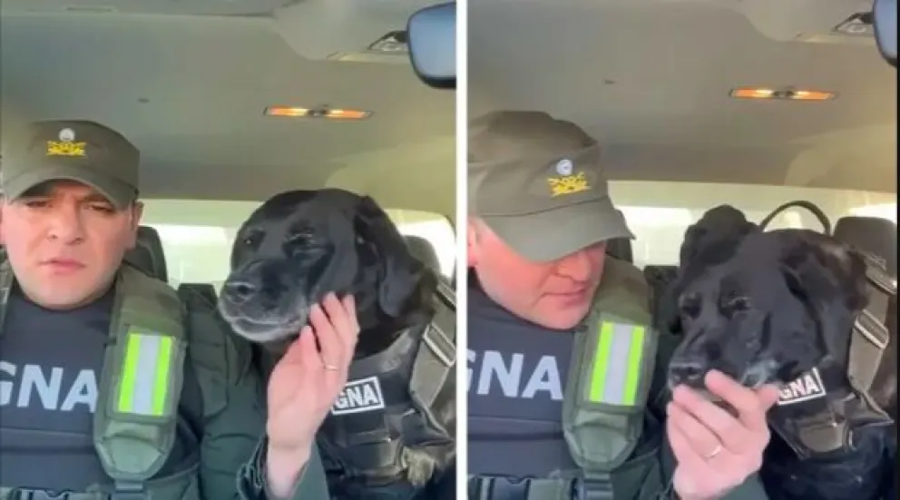 Emocionante: una perra de gendarmería argentina se "jubiló" y el video es viral en las redes