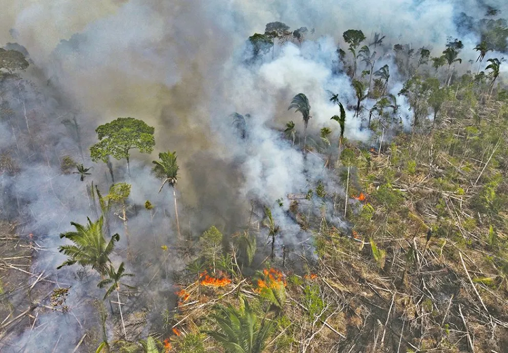 Pulmón en peligro, crece el debate para financiar los bosques tropicales