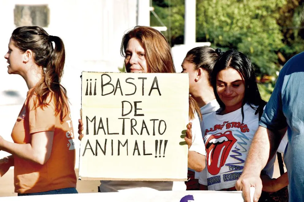 Maltrato animal: marcha en reclamo de justicia en Posadas