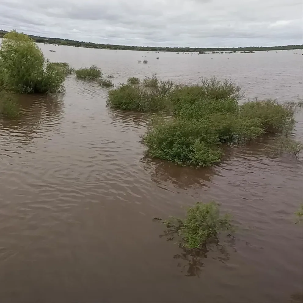 La crecida del río Uruguay moviliza el monitoreo constante 