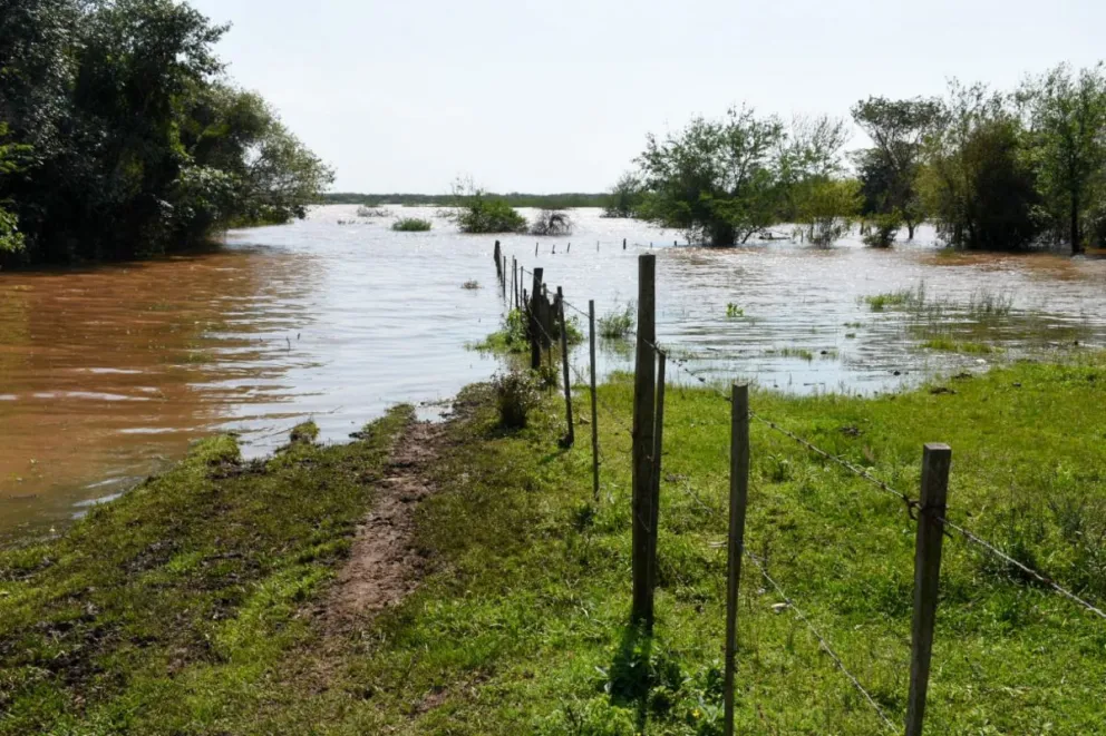 El río Uruguay se estacionó en Santo Tomé pero emitieron alerta por tormentas 