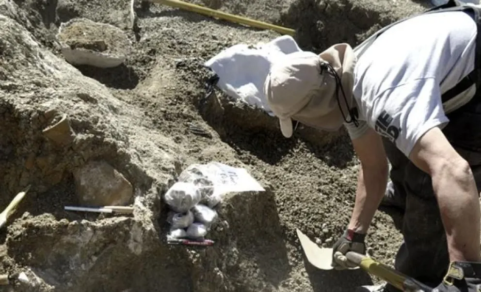 Hallaron en Chubut el esqueleto de un gigante marino que convivió con los dinosaurios