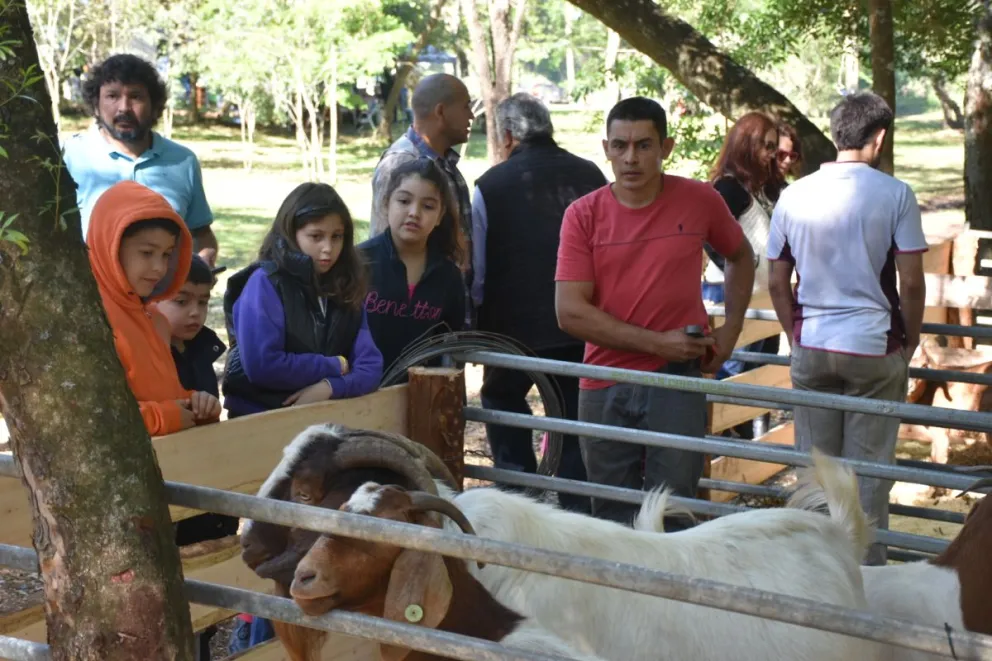 Se realiza con éxito la 3ª Expo ovino-caprina de la zona Sur de Misiones