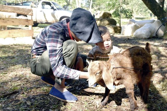 Buscan fortalecer más la producción ovino-caprina de la zona Sur de Misiones