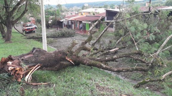 Fuerte temporal en Puerto Piray dejó voladura de techos, árboles caídos y están sin luz