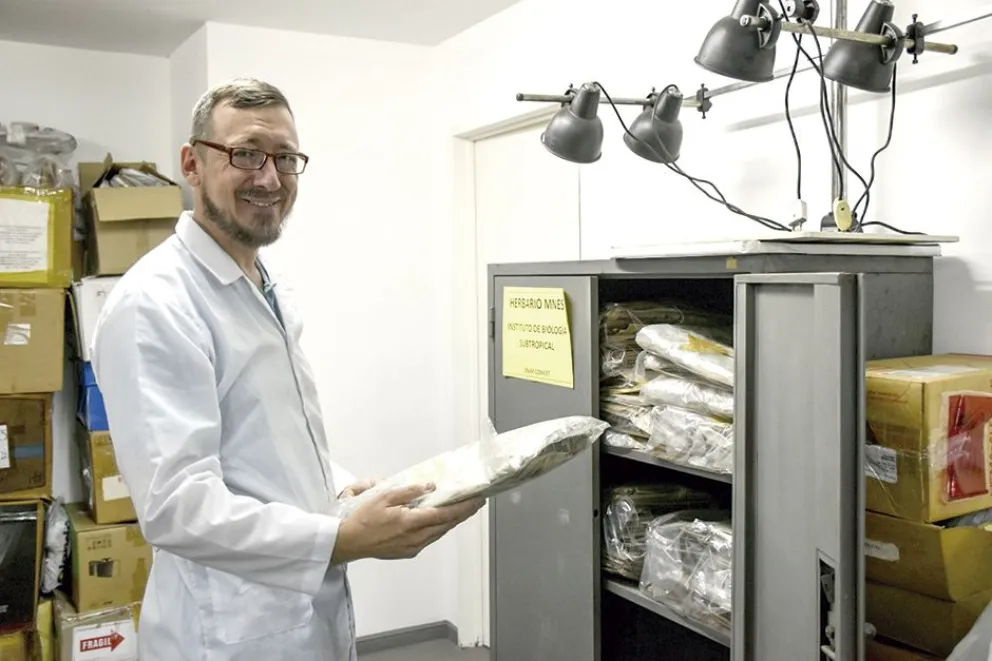 Plantas nativas: de Santa Fe a Posadas para digitalizar un herbario