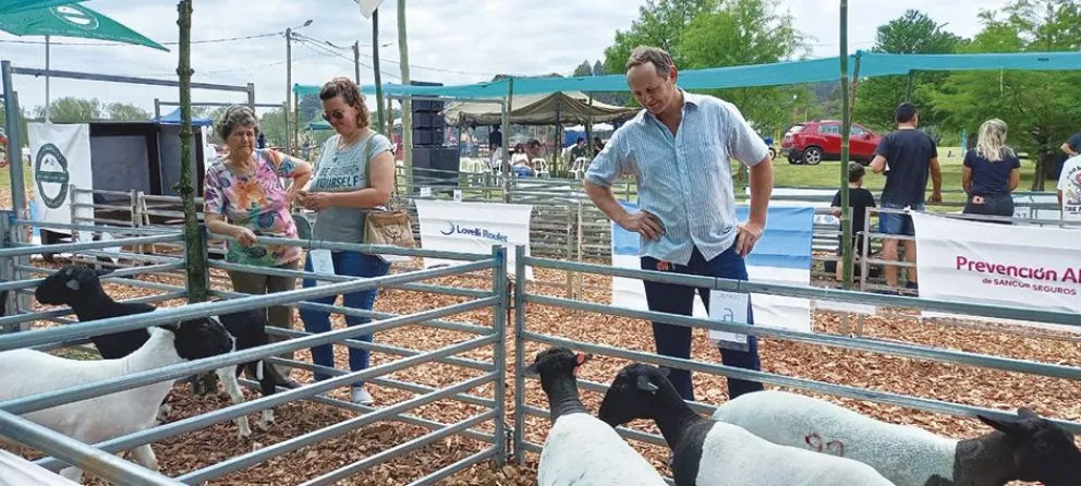 La producción ovina, caprina y porcina se lució en Dos de Mayo 