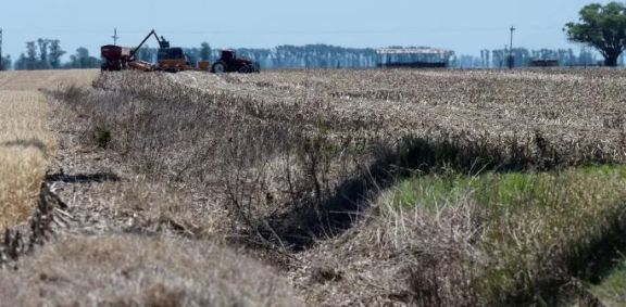 Subsidio por sequía: los productores tienen tiempo de anotarse hasta el viernes