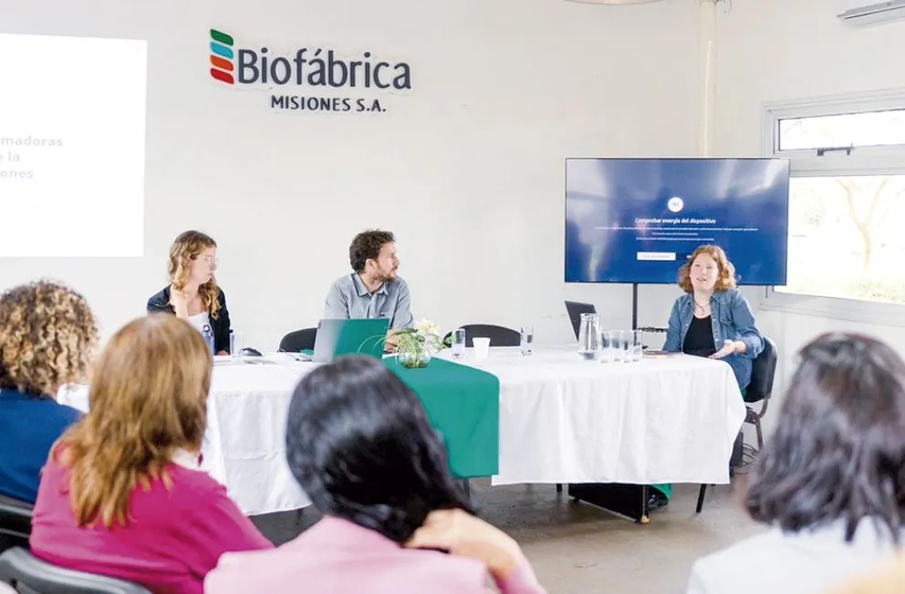 Presentan informe preliminar sobre bioeconomía en Misiones