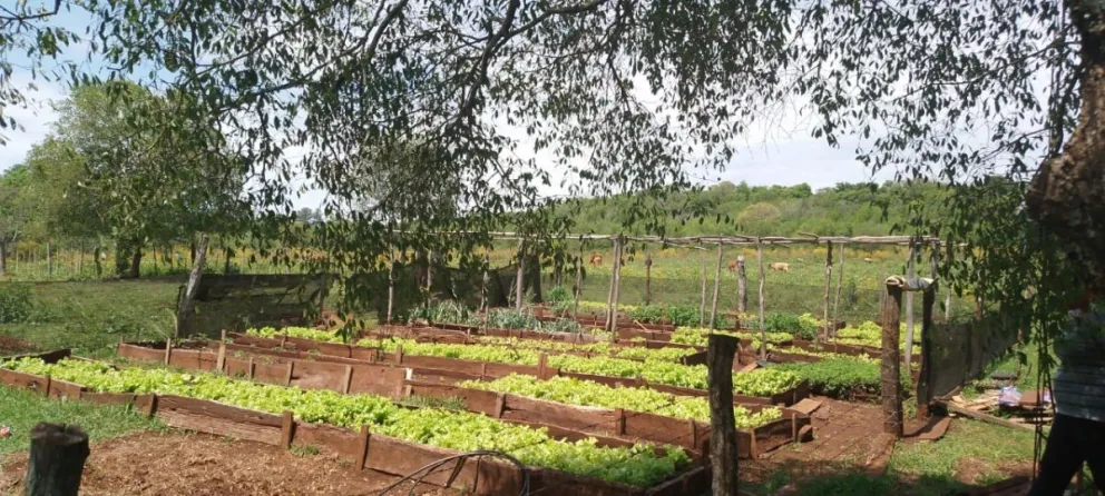 Mártires: entregaron insumos a productores afectados por la granizada