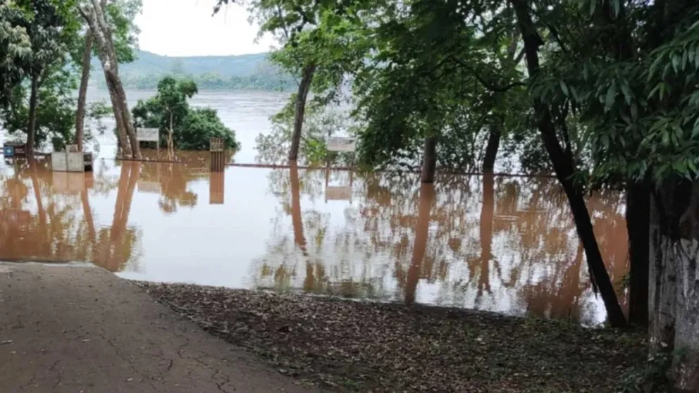 Municipios costeros, en alerta por la altura del río Uruguay