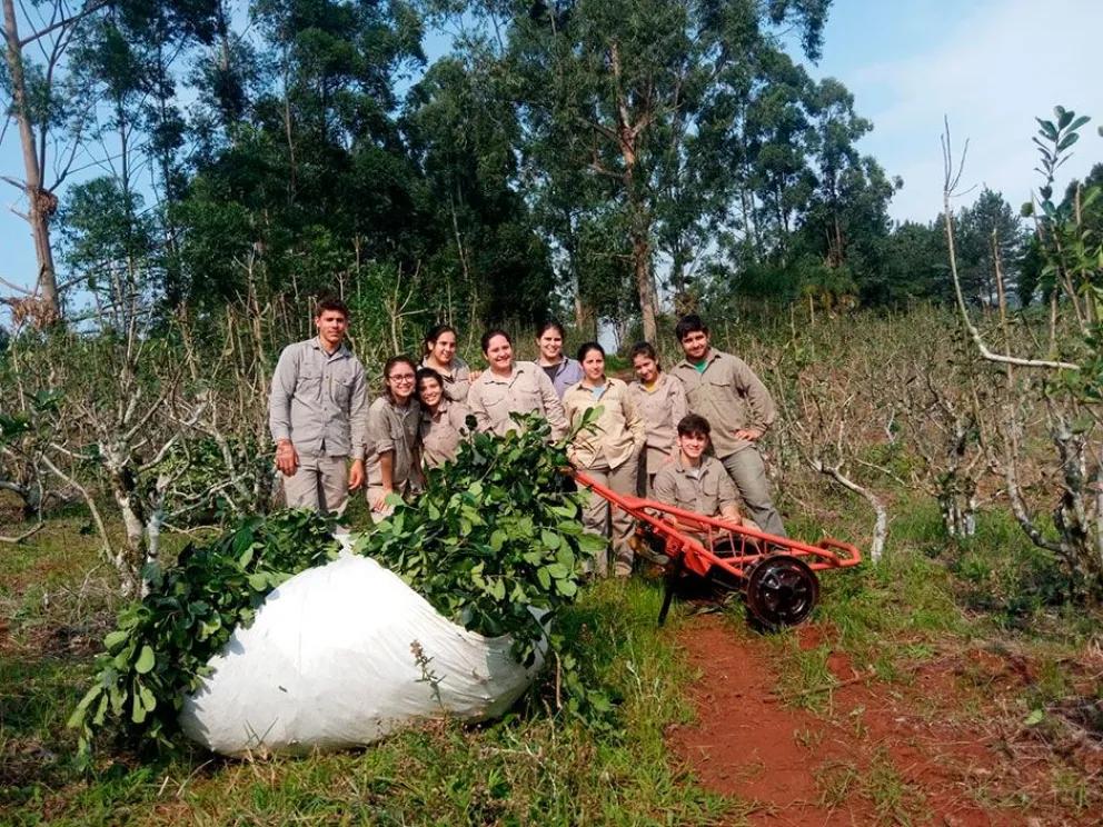 Alumnos fabricaron carrito para facilitar la tarea de los tareferos