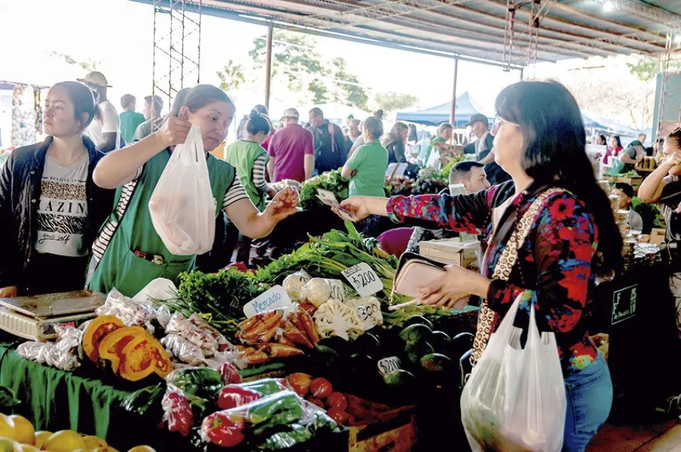 Feriantes auguran abundancia de frutas y verduras de cara al verano