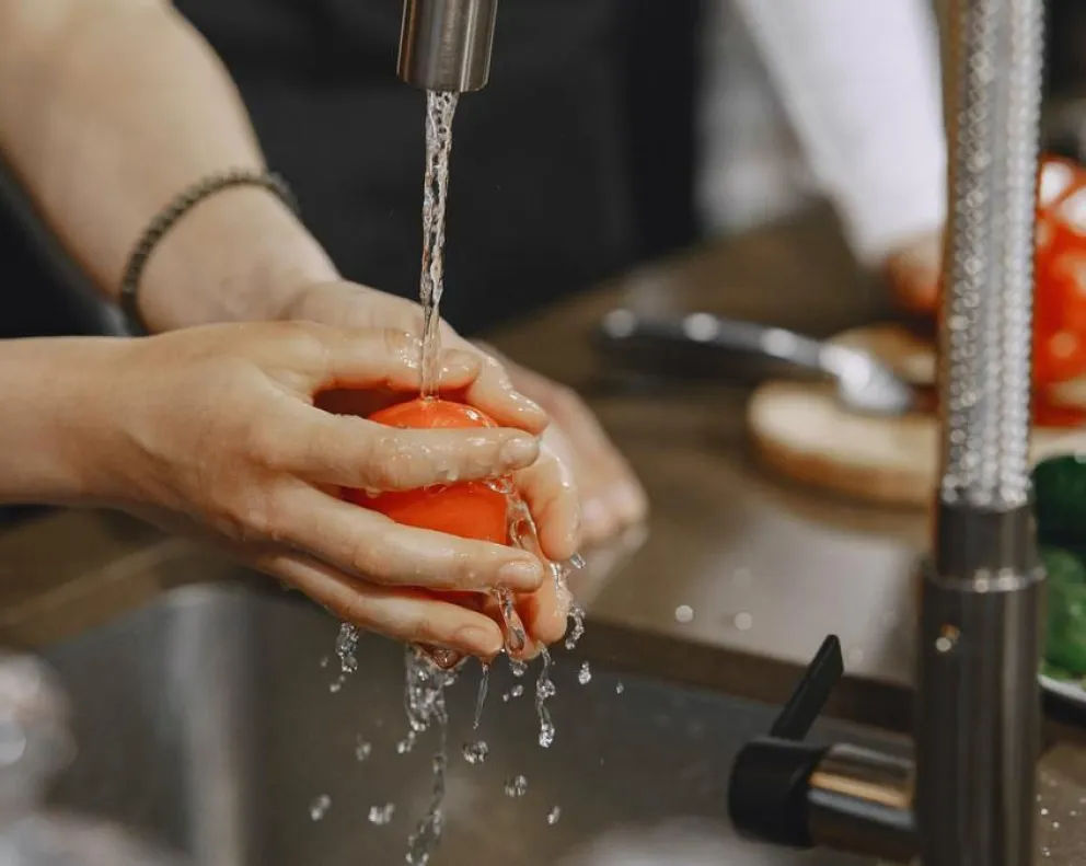 Instan a lavar alimentos para prevenir enfermedades