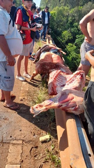 Responsable del camión volcado en Yazá autorizó a que los vecinos se lleven la carne