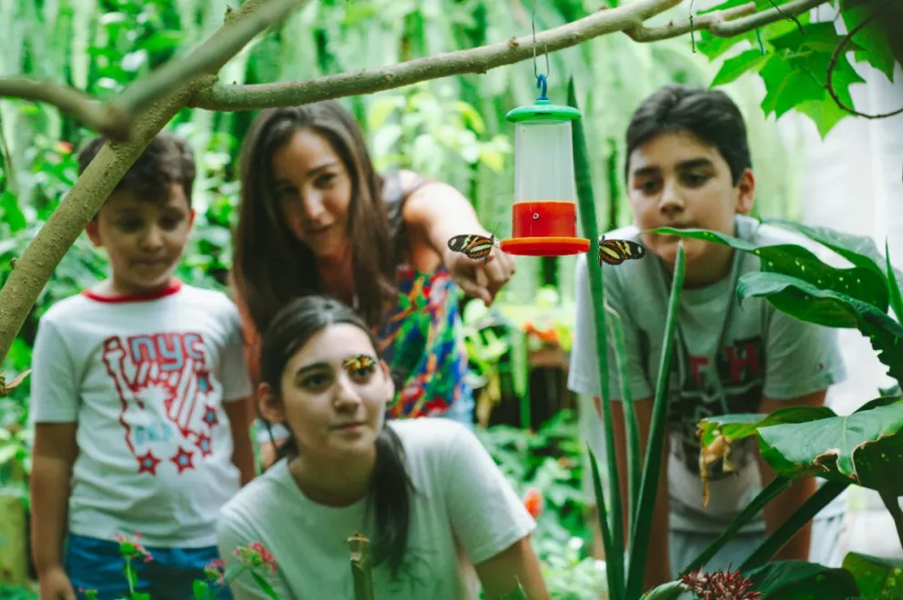 Variedad de actividades en Misiones para el fin de semana largo