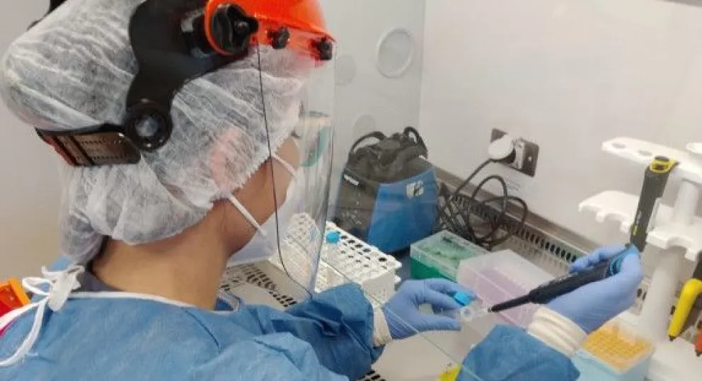 Misiones podrá detectar lepra con la técnica molecular de PCR