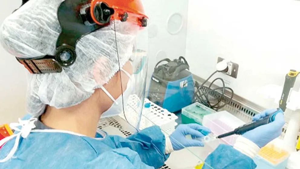 Lepra: Advierten sobre la importancia de la detección temprana