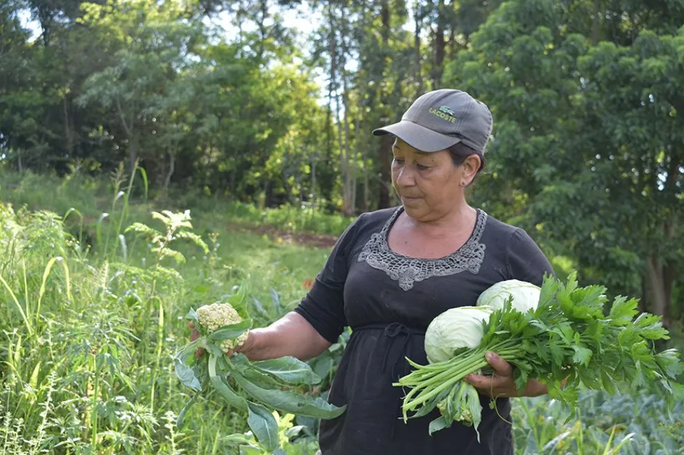 Mujeres rurales: sostén del hogar con su labor doméstica  y en el campo