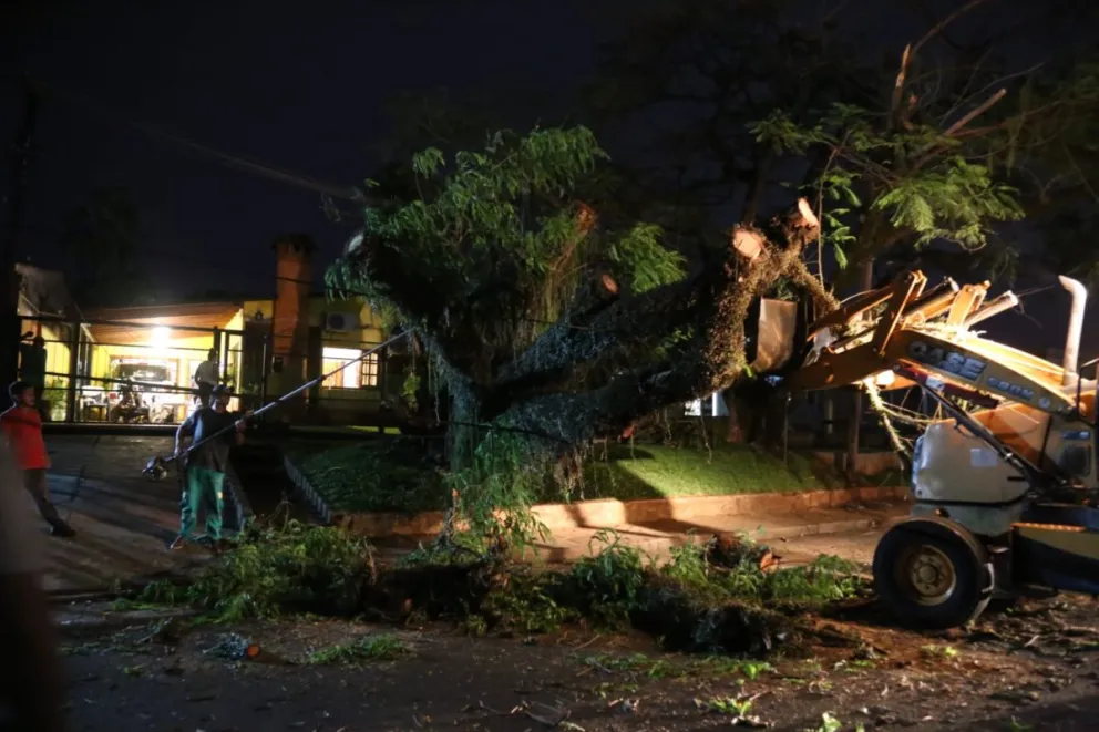 Temporal golpeó fuerte a la zona sur de Misiones 