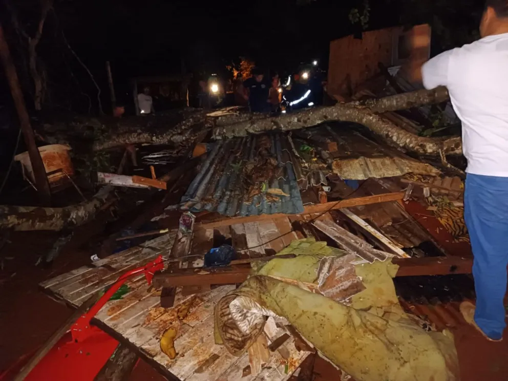 Encarnación: Madre e hijo fallecen tras caída de árbol por su vivienda durante temporal