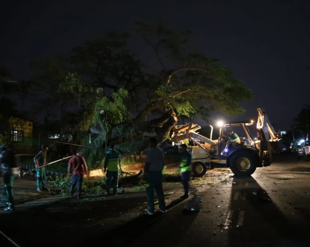 Temporal en Misiones: “la zona sur de la provincia fue la más afectada”