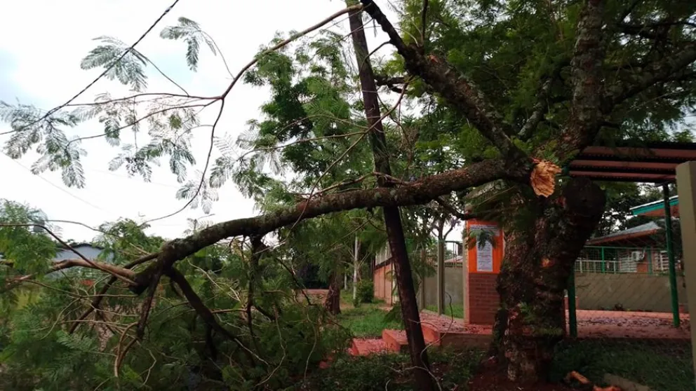 En Campo Grande hubo 50 casas afectadas y en Montecarlo 20 familias damnificadas 