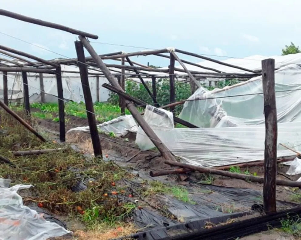 El temporal y las intensas lluvias provocaron daños en invernaderos y pérdidas de cultivos 