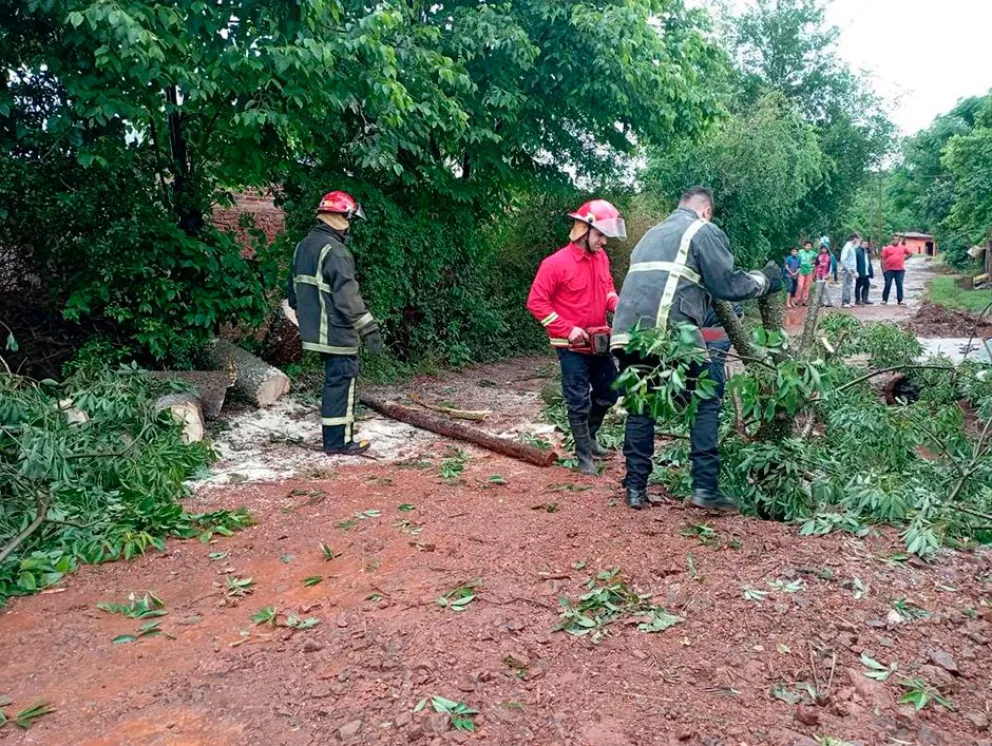 La tormenta causó daños en invernaderos y pérdida de cultivo