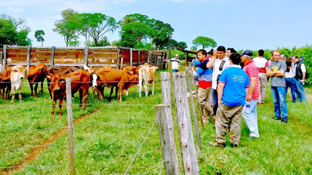 Con herramientas eficientes buscan fortalecer producción bovina de la zona Sur