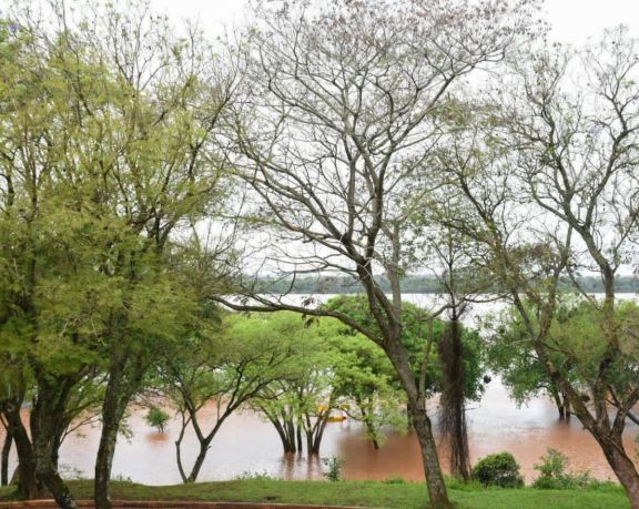 Santo Tomé: nuevamente comenzó a crecer el río Uruguay 