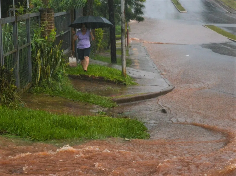 Alerta amarilla por tormentas en Misiones: desde esta noche y hasta el viernes