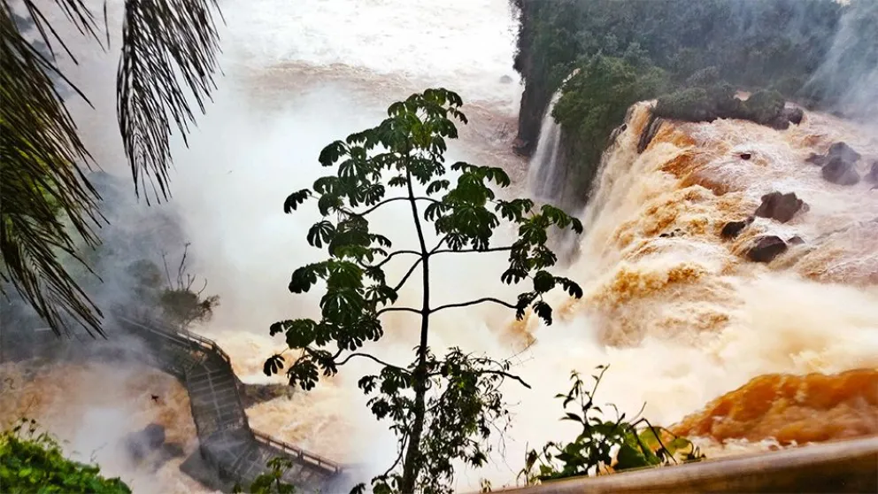 El Parque Iguazú abrirá hoy, aunque sin el circuito Garganta del Diablo